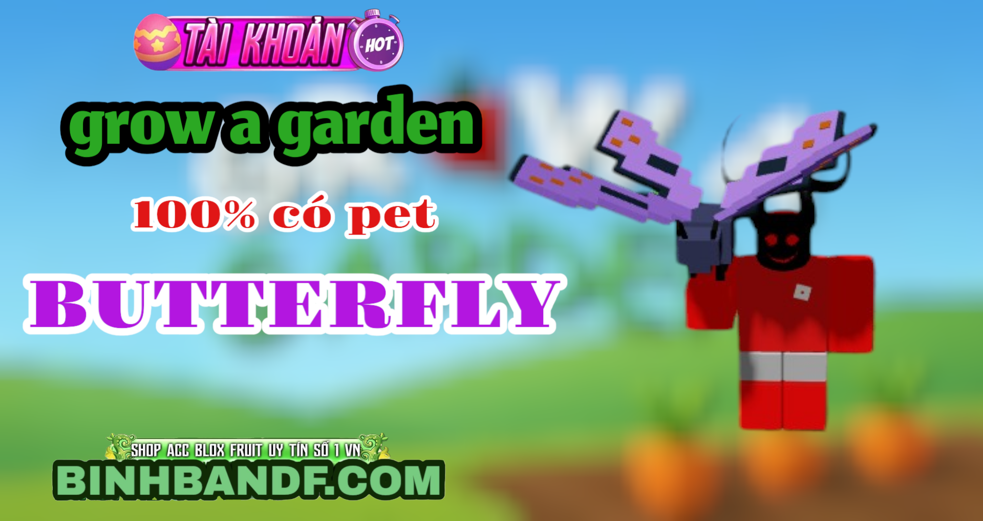TÀI KHOẢN SỞ HỮU PET BUTTERFLY