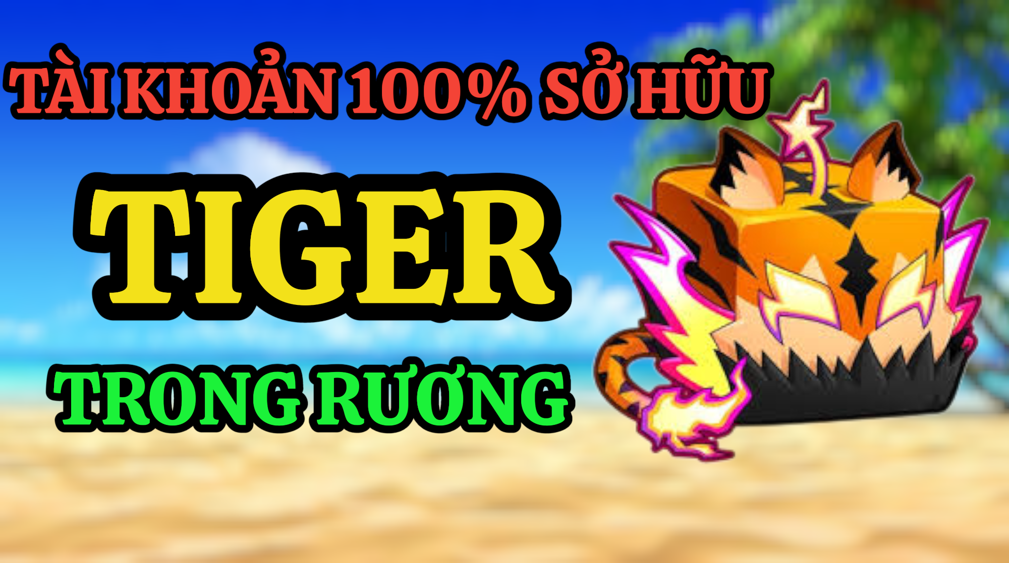 "TÀI KHOẢN SỞ HỮU TIGER TRONG RƯƠNG