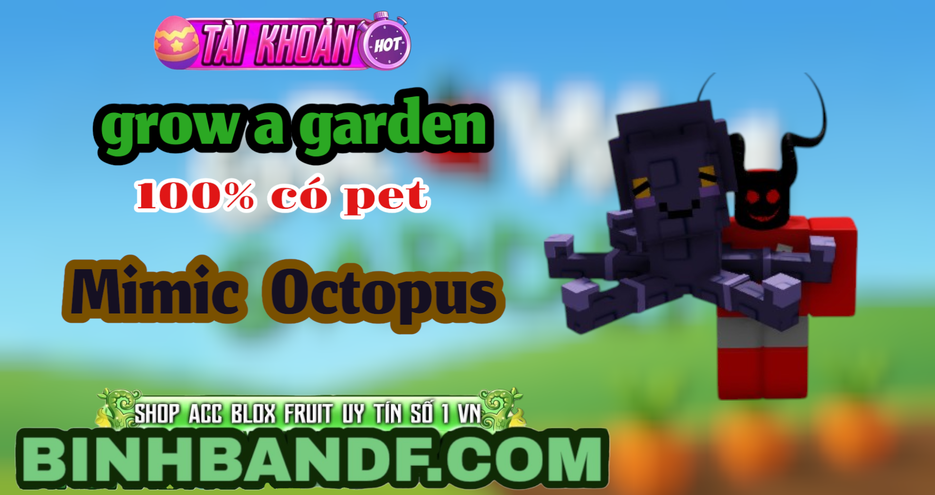 TÀI KHOẢN SỞ HỮU PET MIMIC OCTOPUS